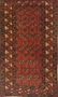 Picture of ROYAL BALOUCH