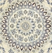 Picture of PERSIAN NAIN NLA
